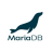 MariaDB Server v11.5.2 win x64